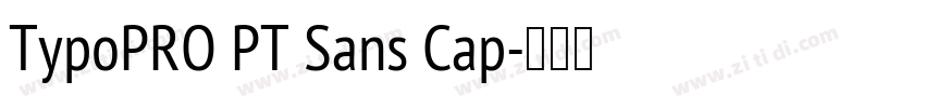 TypoPRO PT Sans Cap字体转换